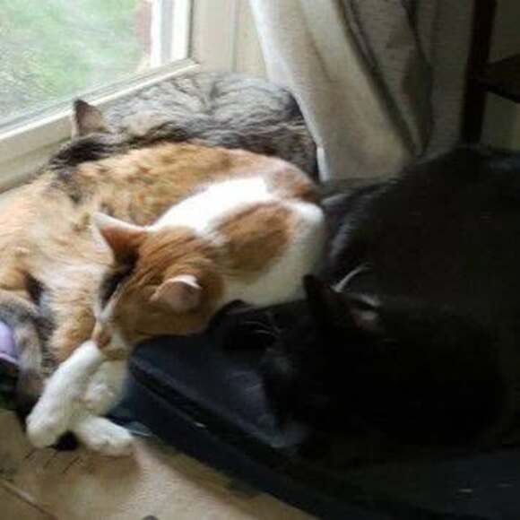tinaoww